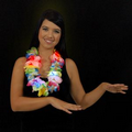 Blank Large Assorted Hawaiian Leis